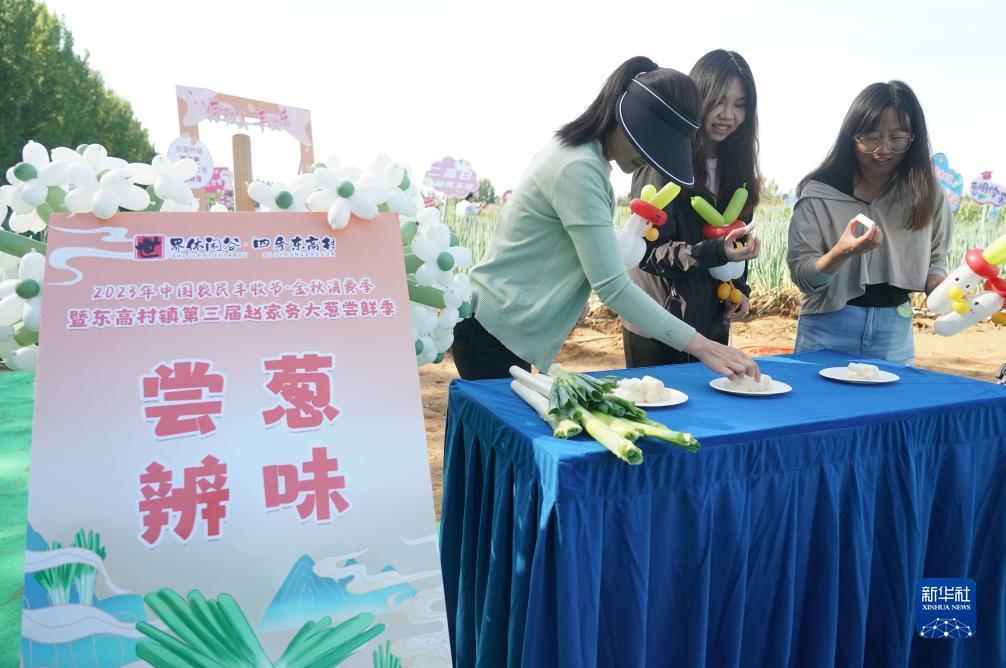 迅达官网游戏
